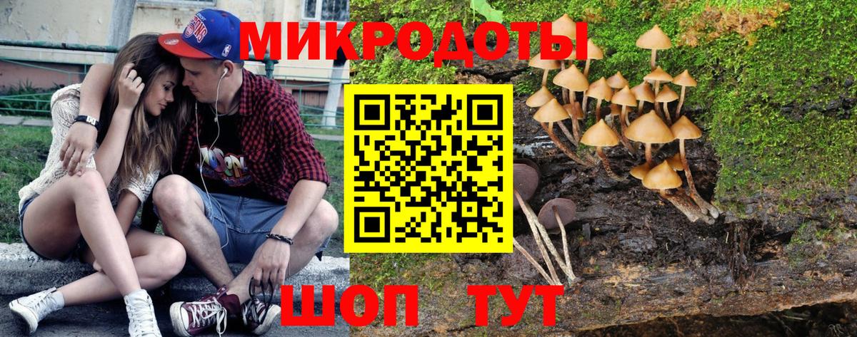 Галлюциногенные грибы GOLDEN TEACHER Нижний Тагил