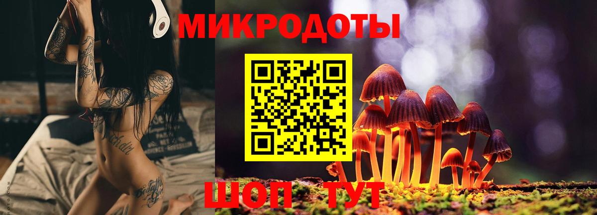 Нижний Тагил  Псилоцибиновые грибы Cubensis  даркнет сайт  Вход с VPN 
